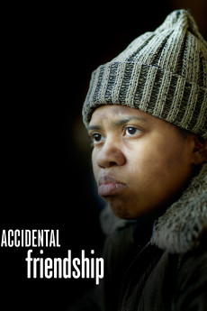 Accidental Friendship (2008) download