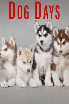 Dog Days (2016) download