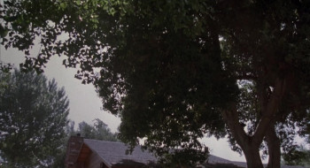 Pumpkinhead II: Blood Wings (1994) download
