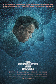 The Possibilities Are Endless (2014) download