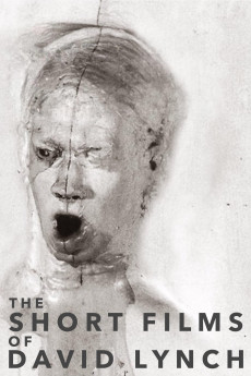 The Short Films of David Lynch (2002) download